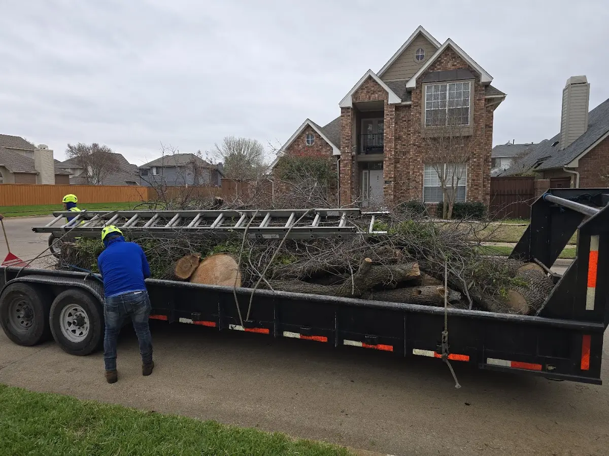 Expert Tree Fertilization with proper safety equipment in Fairview